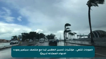 الموجات تنتهي.. مؤشرات تحسن الطقس تبدأ مع منتصف سبتمبر بعودة الأجواء المعتدلة تدريجيًا